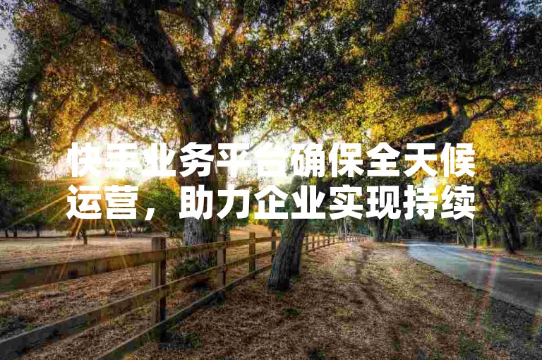 快手业务平台确保全天候运营，助力企业实现持续商业扩张，是新用户的理想选择！