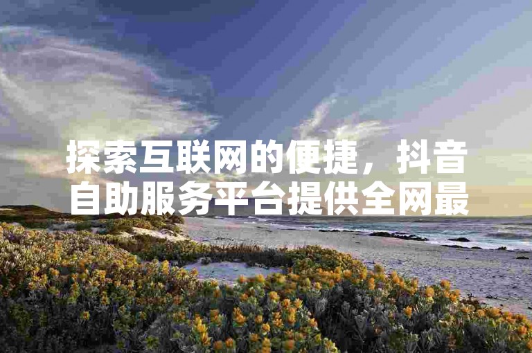 探索互联网的便捷，抖音自助服务平台提供全网最低价的业务，包括Ks秒赞和点赞服务，24小时随时下单，揭秘真人操作的幕后故事。