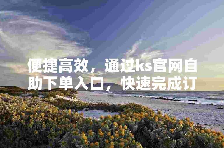 便捷高效，通过ks官网自助下单入口，快速完成订单管理，节省时间与精力。