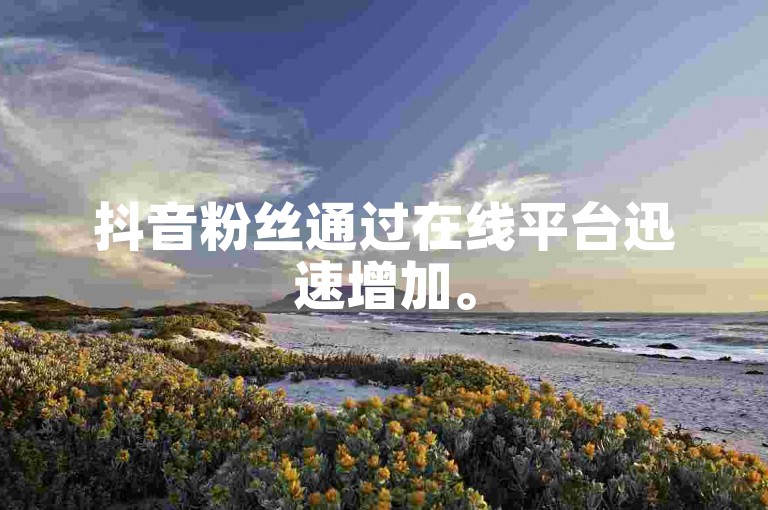 抖音粉丝通过在线平台迅速增加。