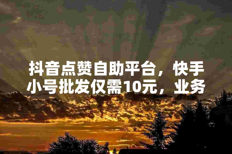 抖音点赞自助平台，快手小号批发仅需10元，业务下单秒到，24小时服务。