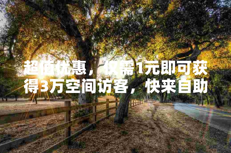 超值优惠，仅需1元即可获得3万空间访客，快来自助下单吧！