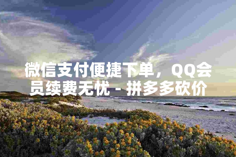 微信支付便捷下单，QQ会员续费无忧 - 拼多多砍价互助平台网站 - 全天候自助服务享全网最惠价格