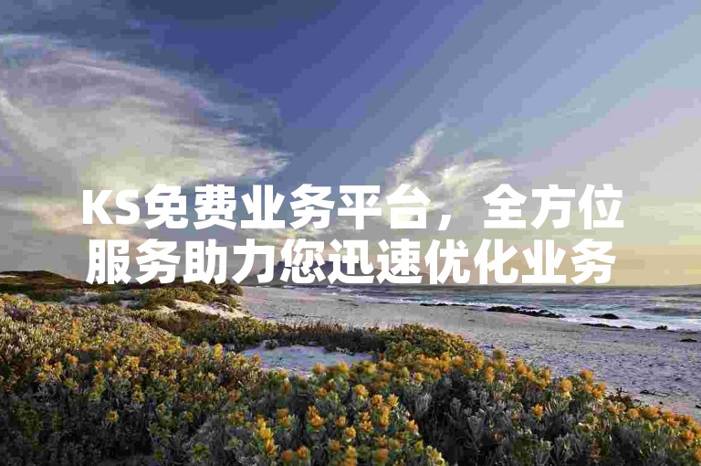 KS免费业务平台，全方位服务助力您迅速优化业务流程。