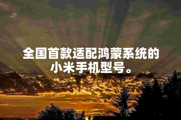全国首款适配鸿蒙系统的小米手机型号。
