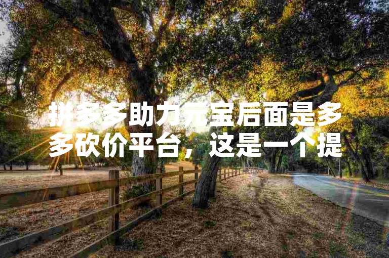 拼多多助力元宝后面是多多砍价平台，这是一个提供商品砍价服务的平台。