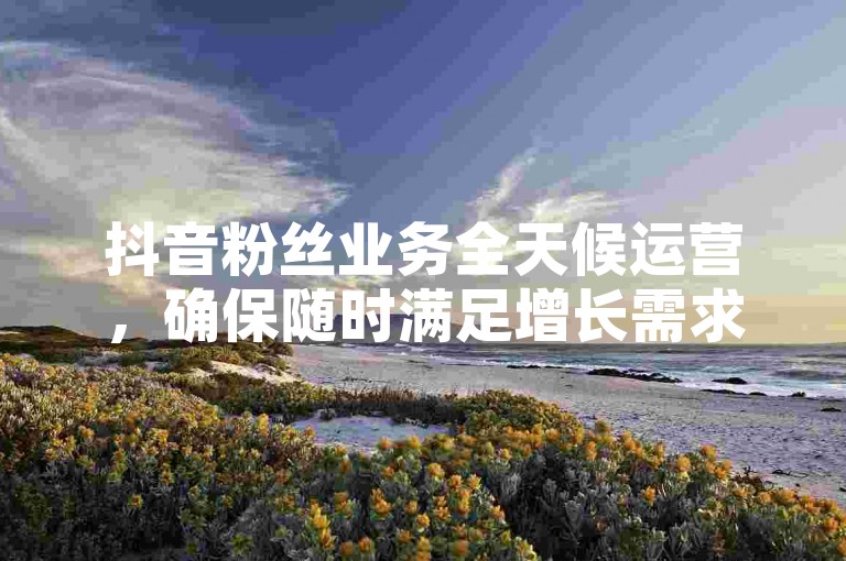 抖音粉丝业务全天候运营，确保随时满足增长需求。