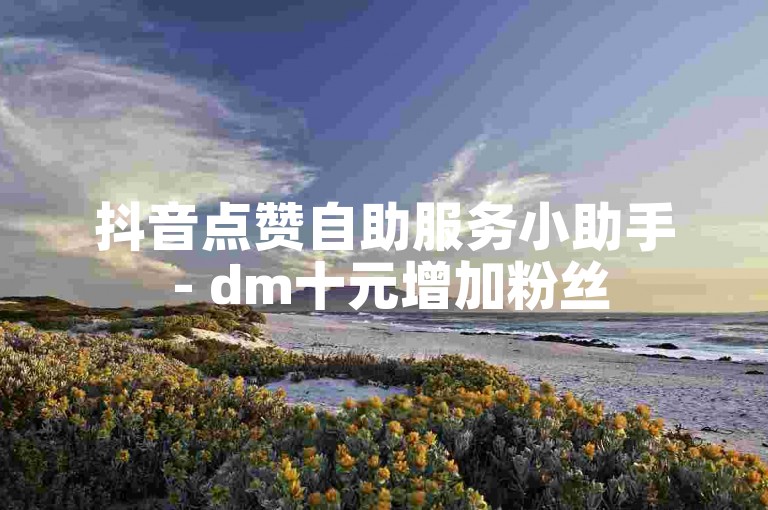 抖音点赞自助服务小助手 - dm十元增加粉丝