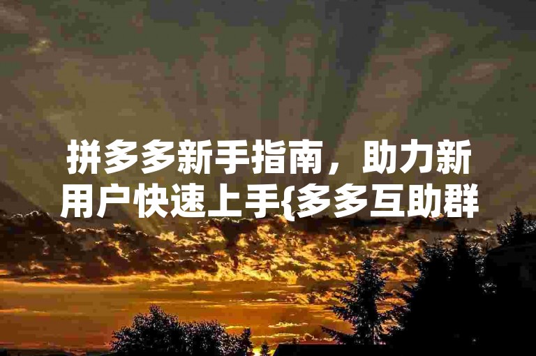 拼多多新手指南，助力新用户快速上手{多多互助群}。