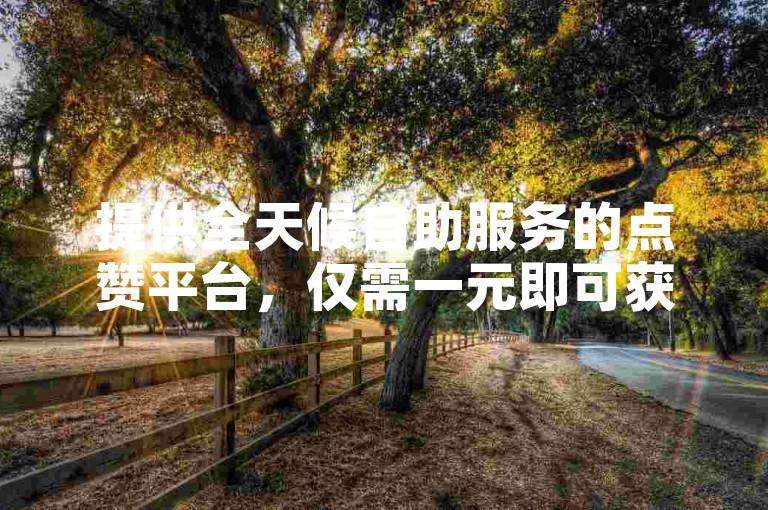 提供全天候自助服务的点赞平台，仅需一元即可获得一万赞。