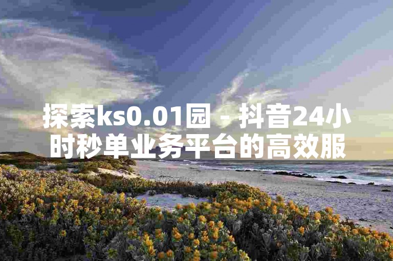 探索ks0.01园 - 抖音24小时秒单业务平台的高效服务。