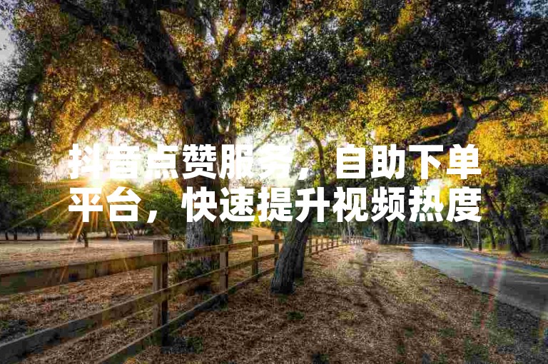抖音点赞服务，自助下单平台，快速提升视频热度。