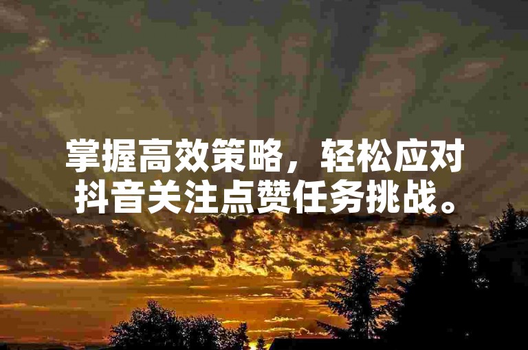 掌握高效策略，轻松应对抖音关注点赞任务挑战。