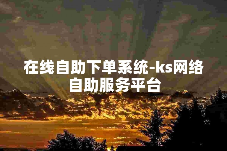 在线自助下单系统-ks网络自助服务平台