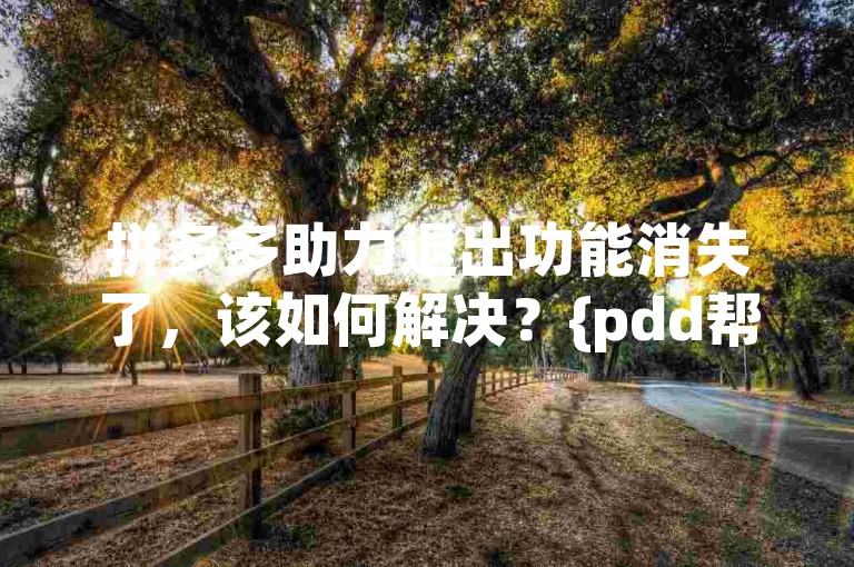 拼多多助力退出功能消失了，该如何解决？{pdd帮忙助力}