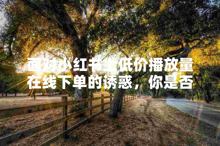 面对小红书上低价播放量在线下单的诱惑，你是否曾考虑过抖音有效粉丝不足500的解决方案？同时，快手购买手机靓号时隐藏的风险你又了解多少？风雨科技提供24小时自助下单服务，但选择之前不妨三思。
