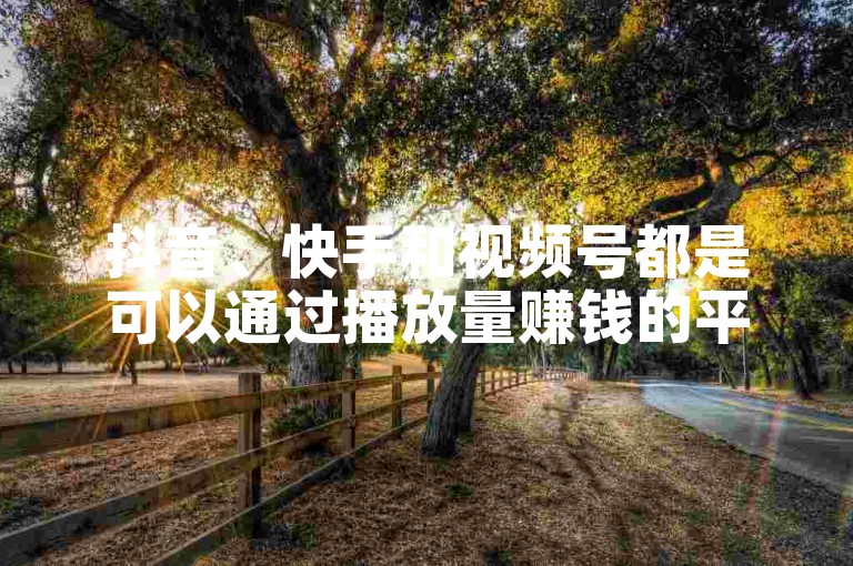 抖音、快手和视频号都是可以通过播放量赚钱的平台。