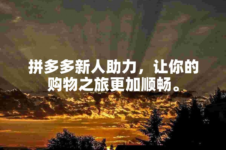 拼多多新人助力，让你的购物之旅更加顺畅。