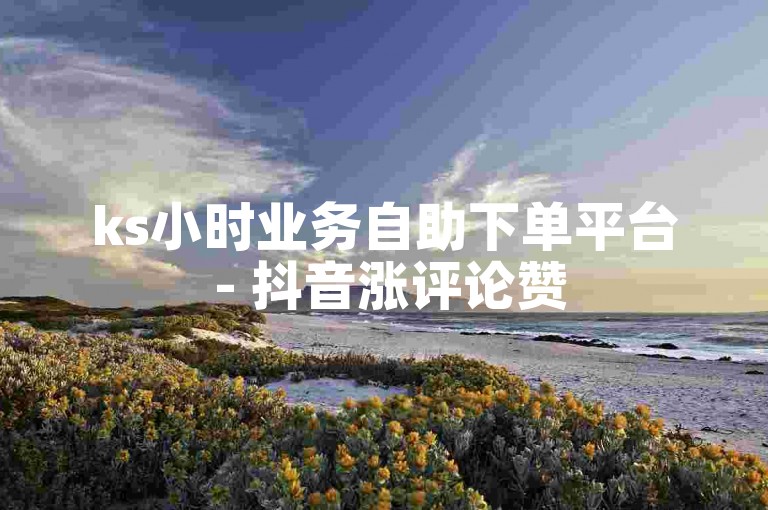 ks小时业务自助下单平台 - 抖音涨评论赞