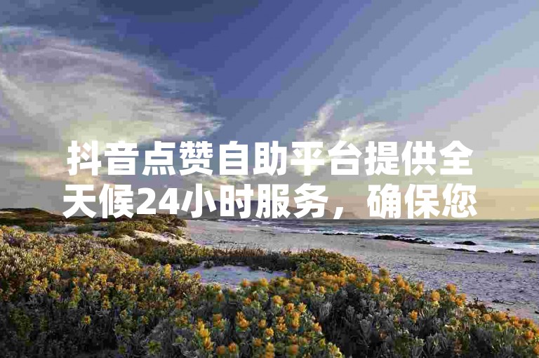 抖音点赞自助平台提供全天候24小时服务，确保您的卡盟自助下单体验始终顺畅无阻。