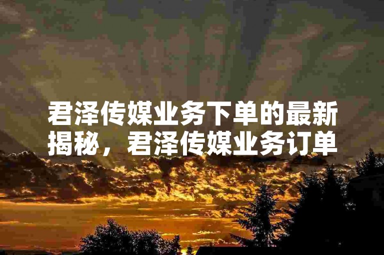 君泽传媒业务下单的最新揭秘，君泽传媒业务订单开启新篇章！2024必学。