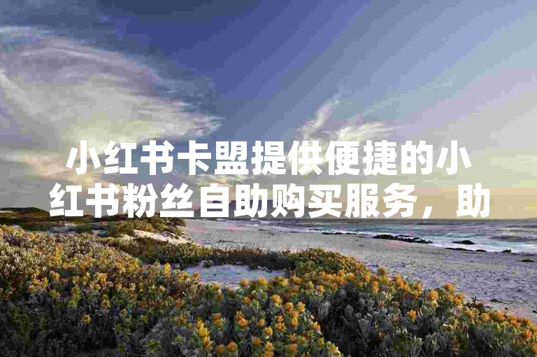 小红书卡盟提供便捷的小红书粉丝自助购买服务，助力账号快速增粉。
