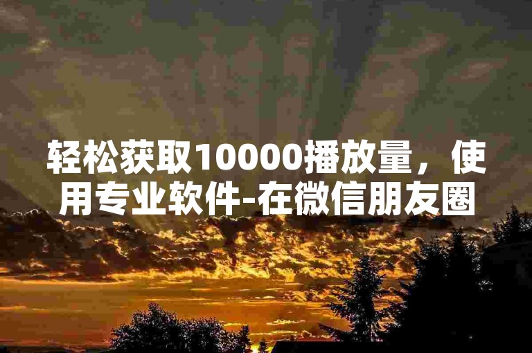 轻松获取10000播放量，使用专业软件-在微信朋友圈点赞的全网领先下单平台，专为抖音用户增加活跃粉丝。