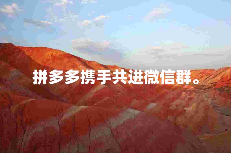 拼多多携手共进微信群。