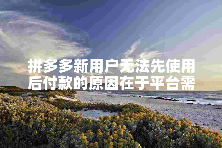 拼多多新用户无法先使用后付款的原因在于平台需要确保交易的安全性和用户信用体系的稳定。