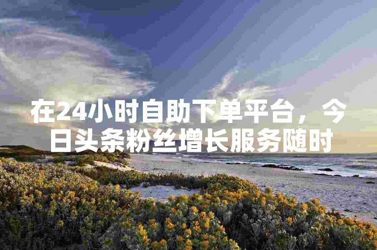 在24小时自助下单平台，今日头条粉丝增长服务随时待命。
