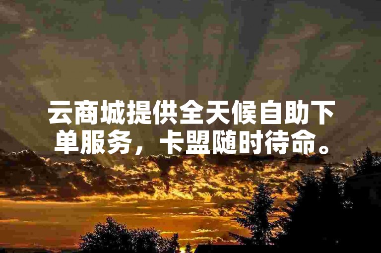 云商城提供全天候自助下单服务，卡盟随时待命。