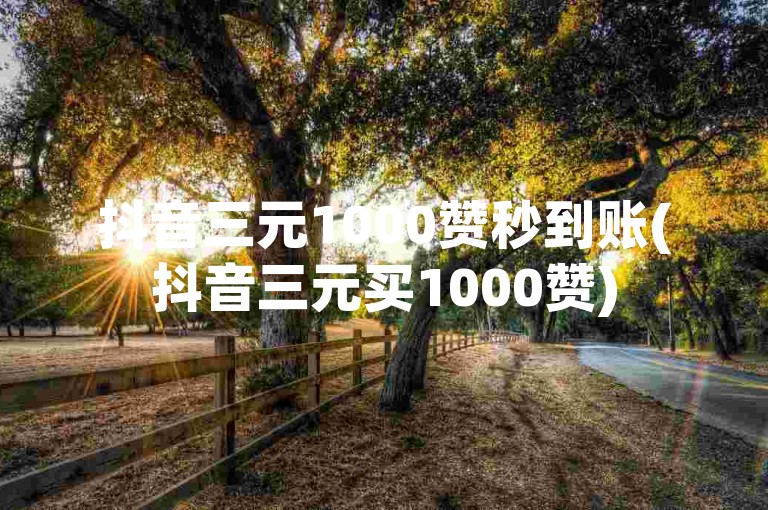 抖音三元1000赞秒到账(抖音三元买1000赞)