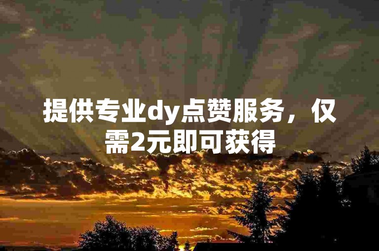 提供专业dy点赞服务，仅需2元即可获得50赞，自助下单，快速便捷。