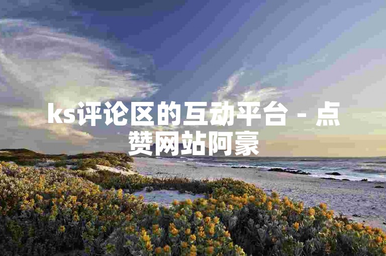 ks评论区的互动平台 - 点赞网站阿豪