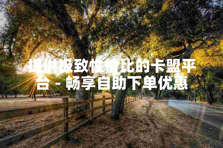 提供极致性价比的卡盟平台 - 畅享自助下单优惠