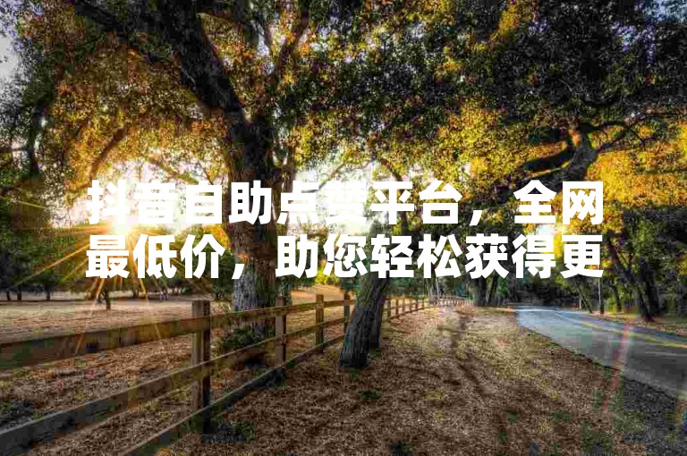 抖音自助点赞平台，全网最低价，助您轻松获得更多赞。