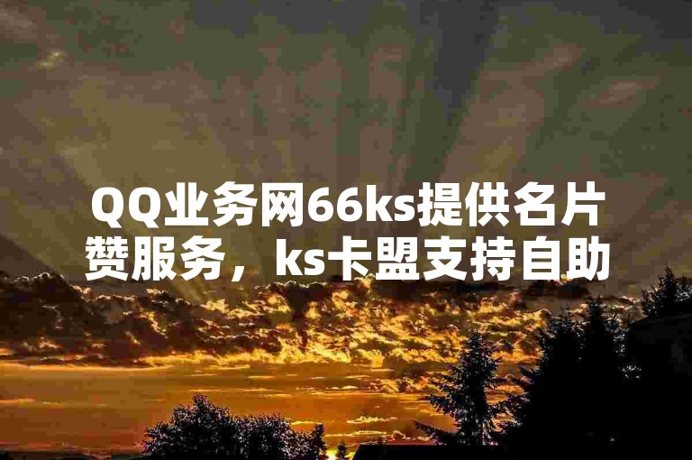 QQ业务网66ks提供名片赞服务，ks卡盟支持自助下单。