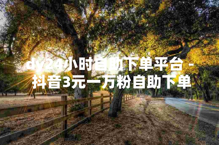 dy24小时自助下单平台 - 抖音3元一万粉自助下单服务