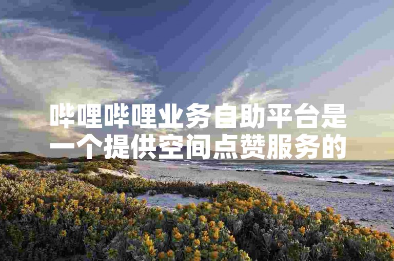 哔哩哔哩业务自助平台是一个提供空间点赞服务的网站。