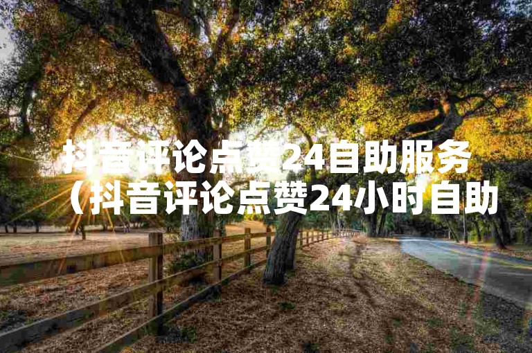 抖音评论点赞24自助服务（抖音评论点赞24小时自助服务全解析）
