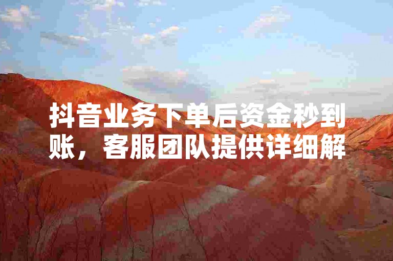 抖音业务下单后资金秒到账，客服团队提供详细解答并确保服务落实，版本更新至GM版169.324.746。