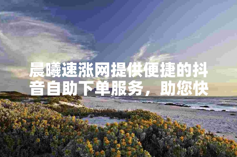 晨曦速涨网提供便捷的抖音自助下单服务，助您快速增加点赞数。