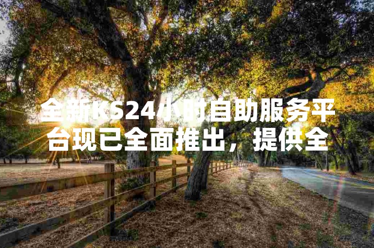 全新KS24小时自助服务平台现已全面推出，提供全天候的便捷下单体验。