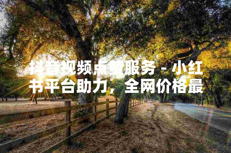 抖音视频点赞服务 - 小红书平台助力，全网价格最实惠。
