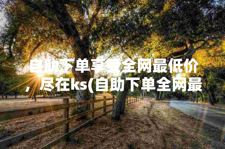 自助下单享受全网最低价，尽在ks(自助下单全网最低价排行榜)。