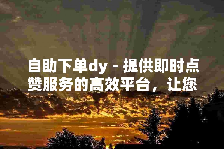 自助下单dy - 提供即时点赞服务的高效平台，让您的社交影响力瞬间提升。
