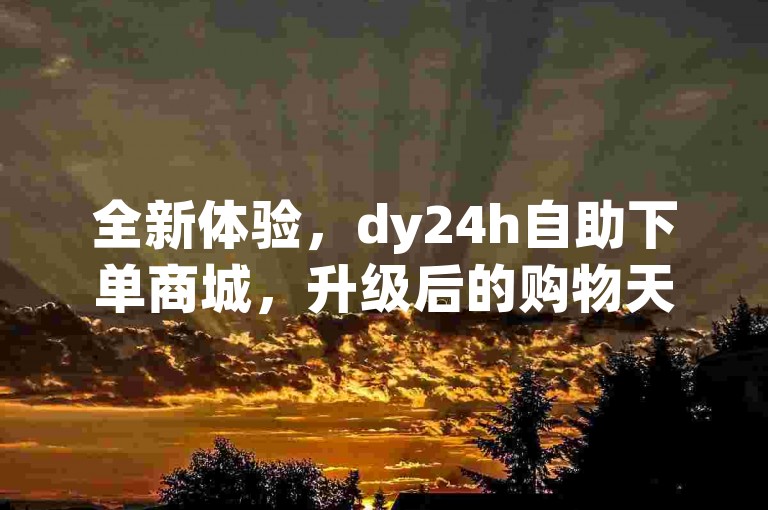 全新体验，dy24h自助下单商城，升级后的购物天堂，一键搞定所有需求。