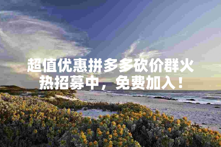 超值优惠拼多多砍价群火热招募中，免费加入！