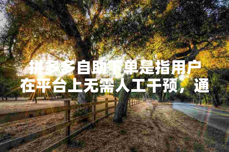 拼多多自助下单是指用户在平台上无需人工干预，通过系统自动完成商品购买流程的服务。