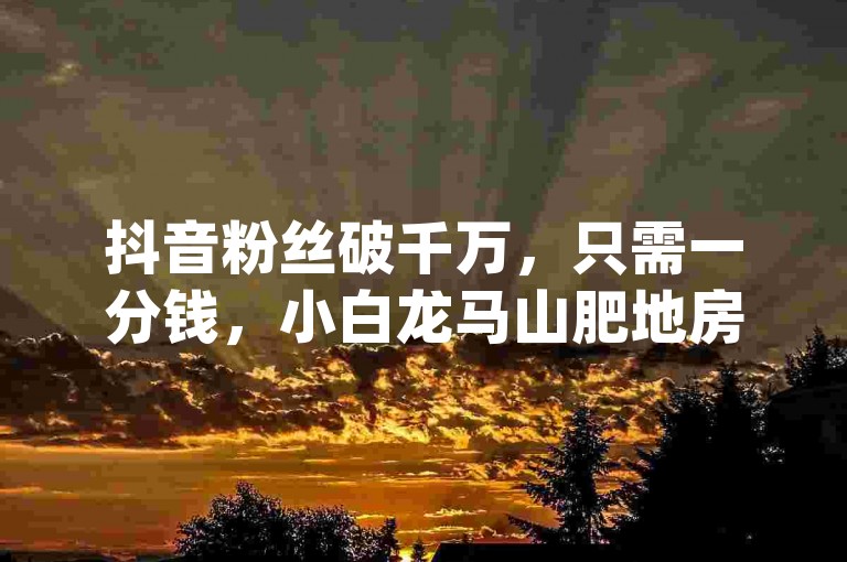 抖音粉丝破千万，只需一分钱，小白龙马山肥地房产装修网，亿点卡盟 - 抖音点赞秒1000双击仅需0.01元，小白龙马山肥地房产装修 - dy业务低价自助下单转发实惠。